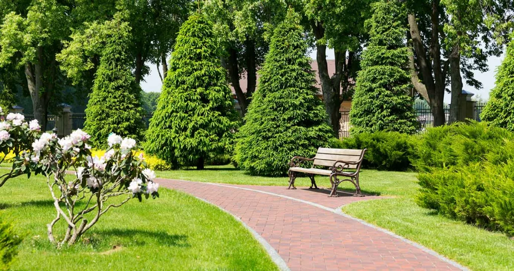 Park bench next to brick-paved path in lush park setting. 