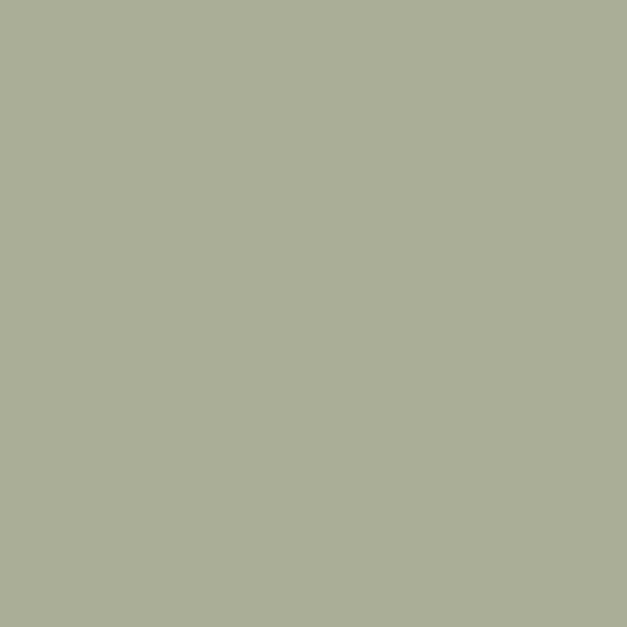 clary sage accent paint sample