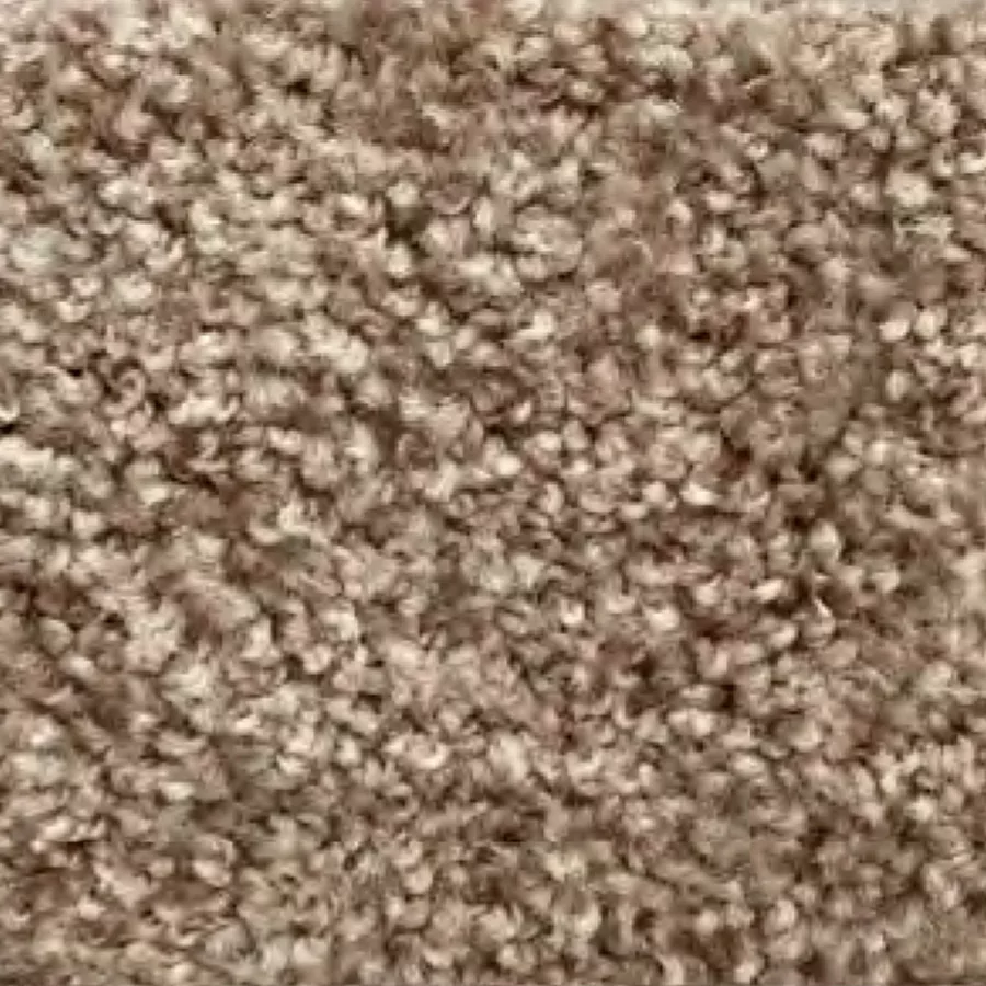 mulch carpet sample