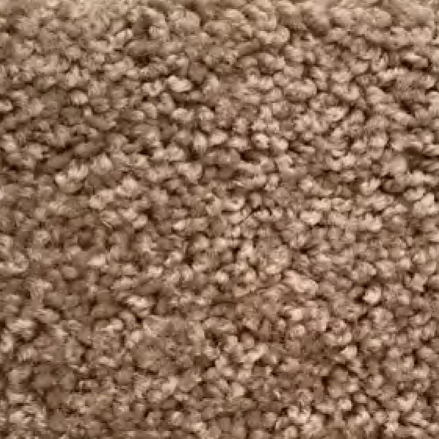 raft carpet sample