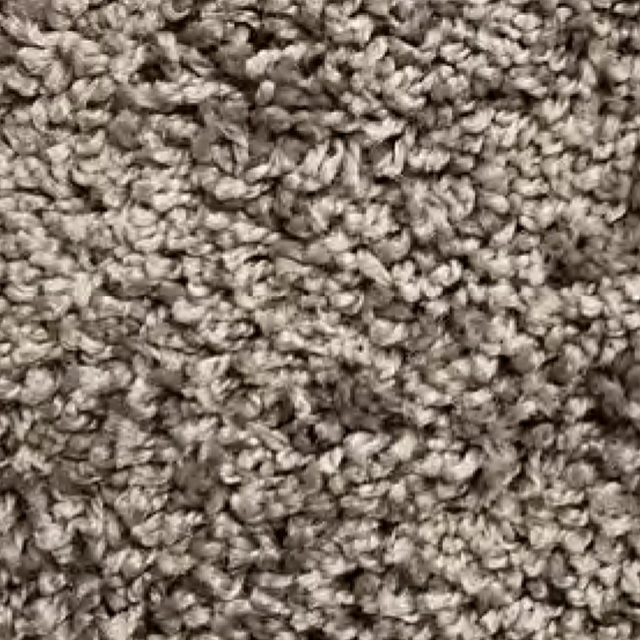 forever pewter carpet sample