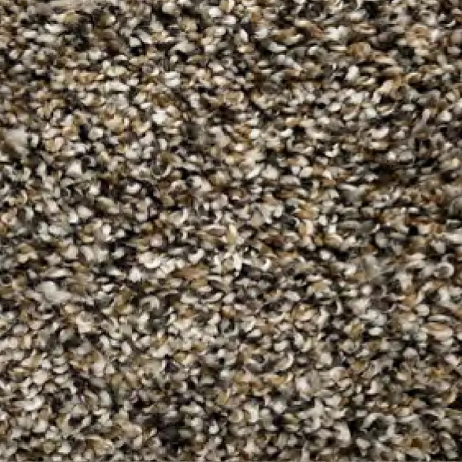 tree bard carpet sample