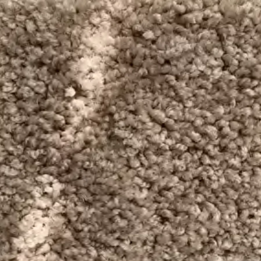 canoe carpet sample