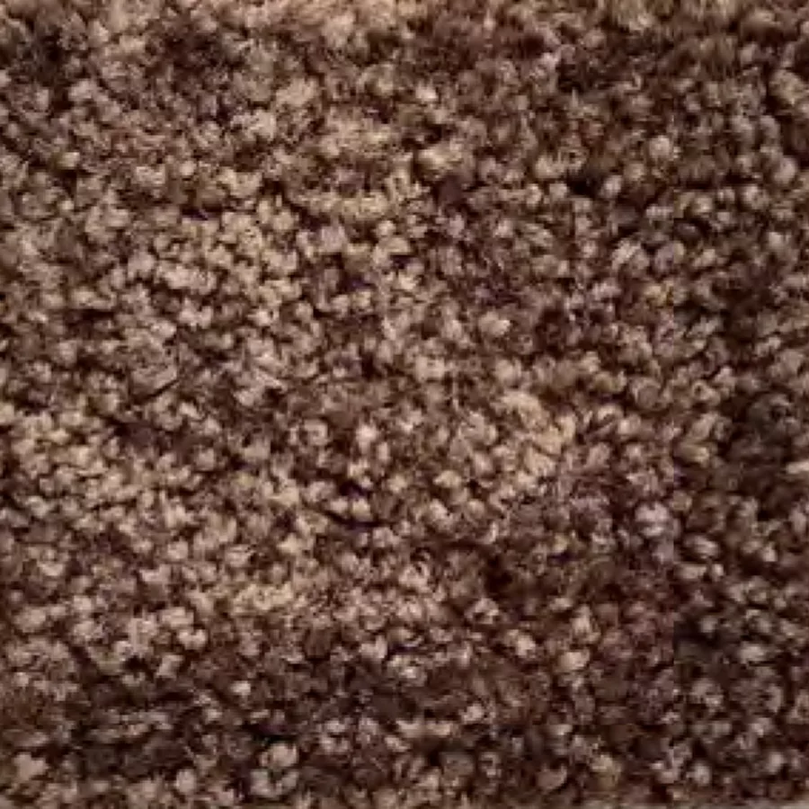 mocha carpet sample