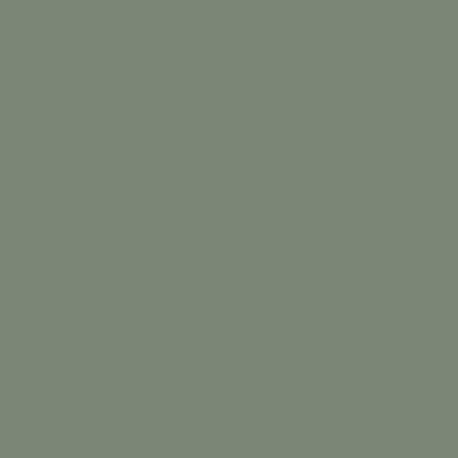 privilege green exterior paint sample