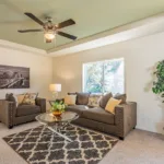 living room with grey modern sofa and loveseat, glass-top coffee table, and try ceiling in a sage green accent color